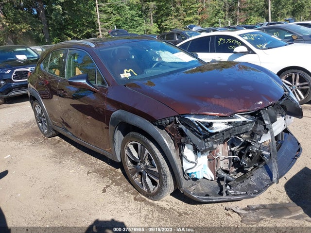 2019 Lexus UX, VIN: JTHU9JBH5K2011954