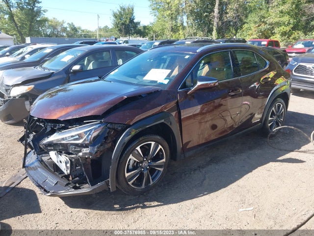 2019 Lexus UX, VIN: JTHU9JBH5K2011954