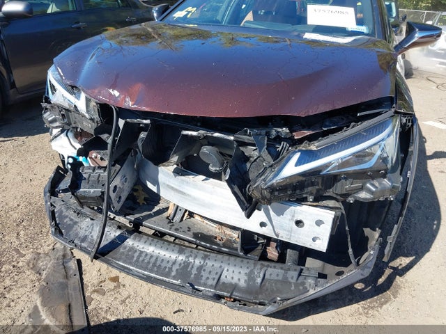 2019 Lexus UX, VIN: JTHU9JBH5K2011954