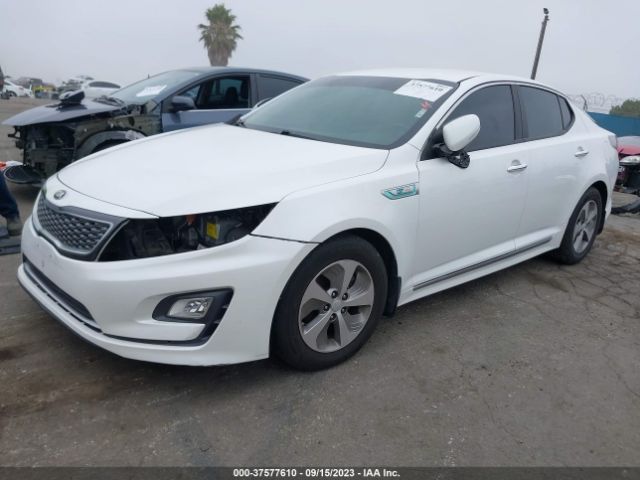 KNAGM4AD1G5096016 KIA OPTIMA HYBRID