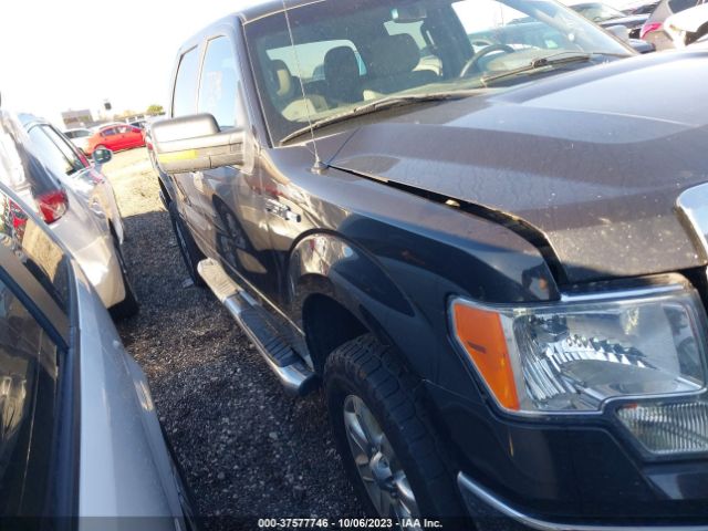 1FTFW1EF4EKF99427 Ford F-150 Xl/xlt/stx/fx4/lariat