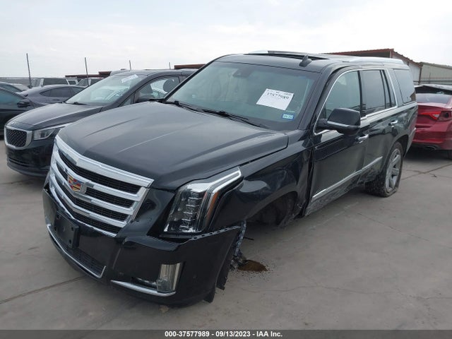 1GYS4BKJ9KR268830 Cadillac Escalade Luxury