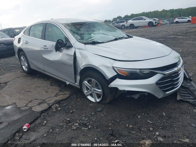 2019 1G1ZB5ST7KF199675 main image