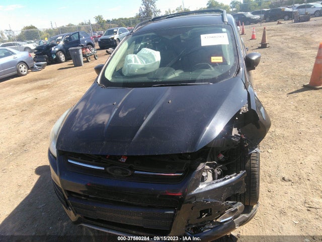 2013 FORD ESCAPE SE VIN: 1FMCU0G96DUD41368