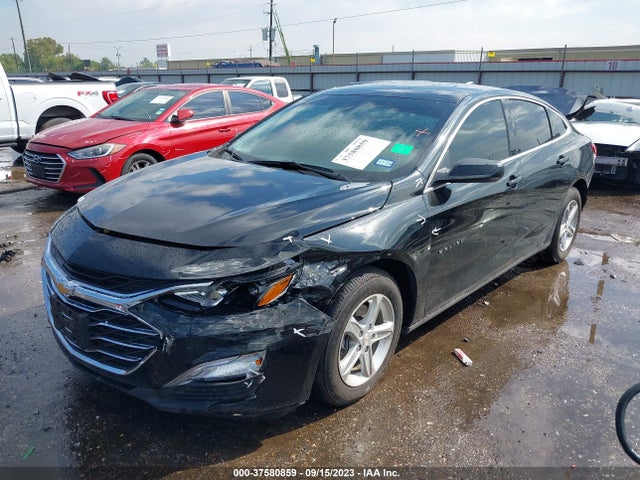 Chevrolet MALIBU LS 2023 1G1ZB5STXPF123035 Image 2