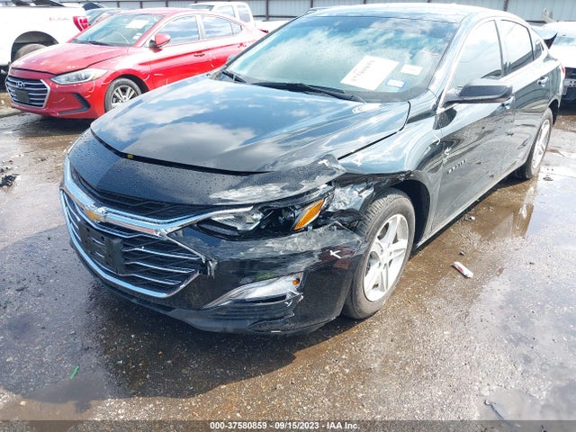 Chevrolet MALIBU LS 2023 1G1ZB5STXPF123035 Image 6