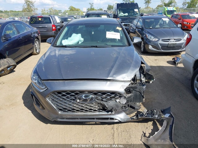 Hyundai SONATA SEL 2019 5NPE34AF7KH780494 Image 13