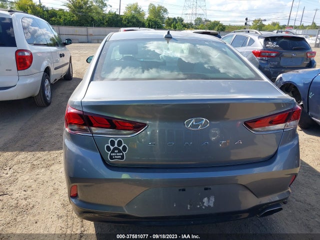 2019 HYUNDAI SONATA SEL VIN: 5NPE34AF7KH780494