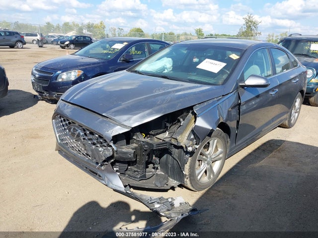 Hyundai SONATA SEL 2019 5NPE34AF7KH780494 Image 2
