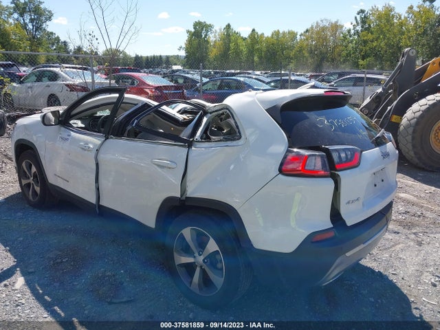 Jeep Cherokee Limited 2021 1C4PJMDXXMD102589 Image 3