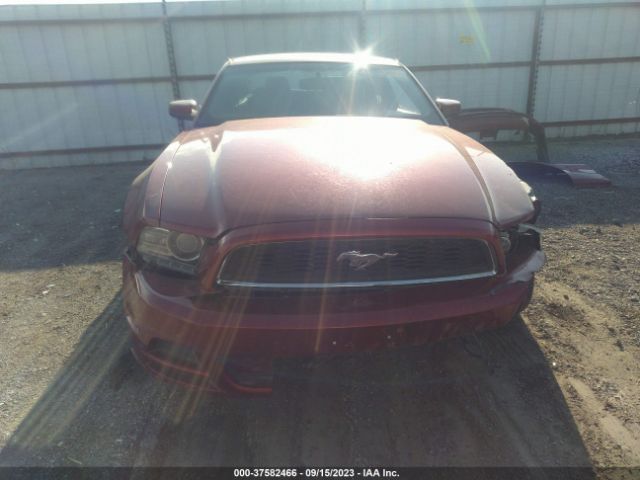 1ZVBP8AMXE5289741 Ford Mustang V6 Premium