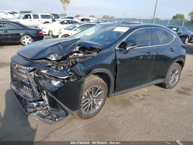 JTJAKCEZXN5005074 Lexus Nx Nx 350h