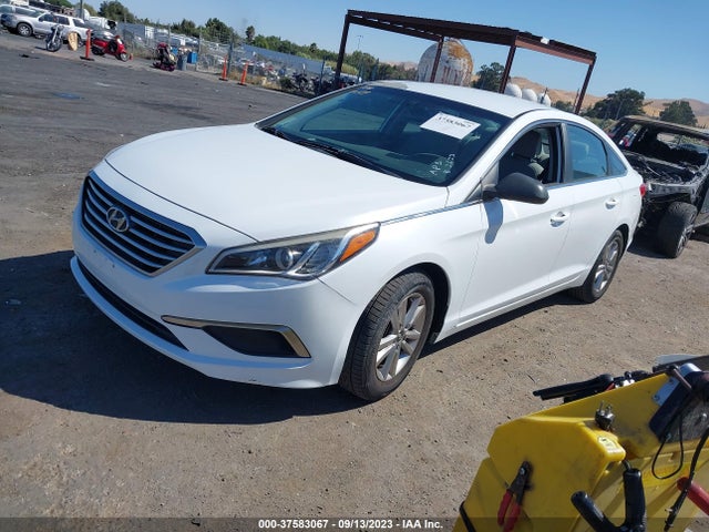 Hyundai SONATA SE 2016 5NPE24AF6GH366617 Image 2