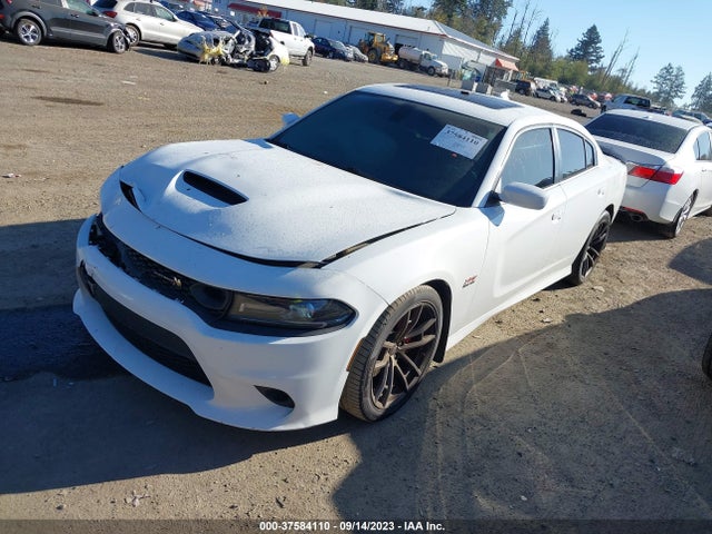 Dodge Charger 2019 2C3CDXGJ5KH678383 Image 16