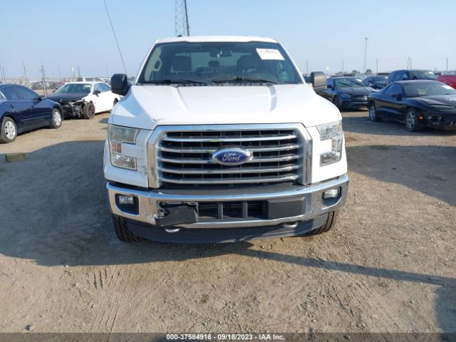 1FTEW1EP8FKD75227 Ford F-150 Xlt/xl/lariat