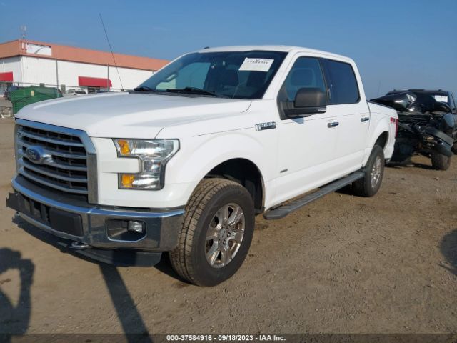 1FTEW1EP8FKD75227 Ford F-150 Xlt/xl/lariat