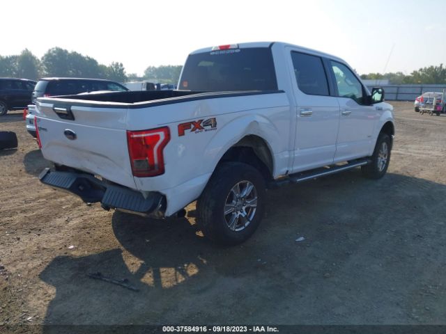 1FTEW1EP8FKD75227 Ford F-150 Xlt/xl/lariat