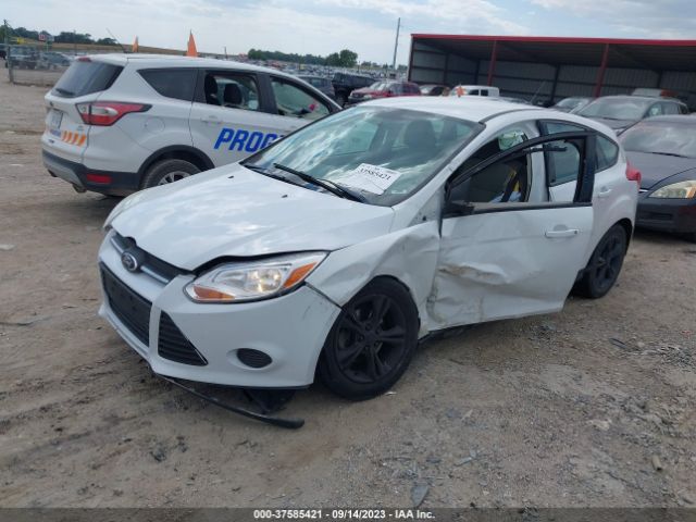 1FADP3K23EL256173 Ford FOCUS SE