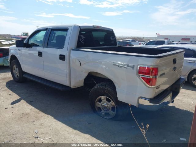 1FTFW1EF2EKE25081 Ford F-150 Xl/xlt/stx/fx4/lariat