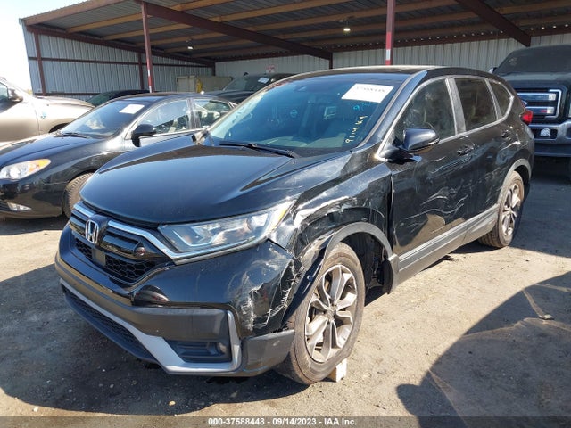 Honda Cr-v Ex-l 2020 5J6RW1H81LA000183 Image 6