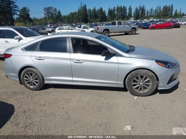 Hyundai SONATA SE 2019 5NPE24AF6KH786998 Image 13