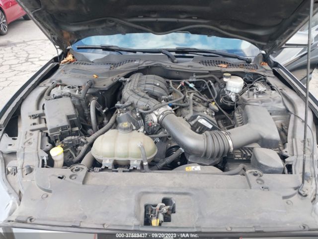 1FA6P8AM1H5266198 Ford Mustang V6