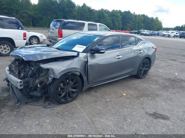 1N4AA6APXHC426469 Nissan Maxima Sr