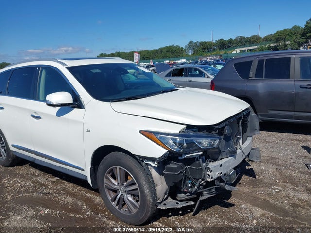 5N1DL0MM3KC510622 - Infiniti QX60 LUXE 2019