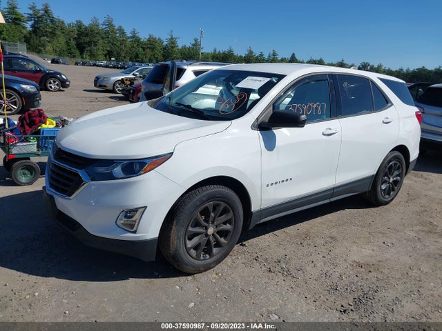 Chevrolet EQUINOX LS 2019 3GNAXSEV2KS547306 Image 2