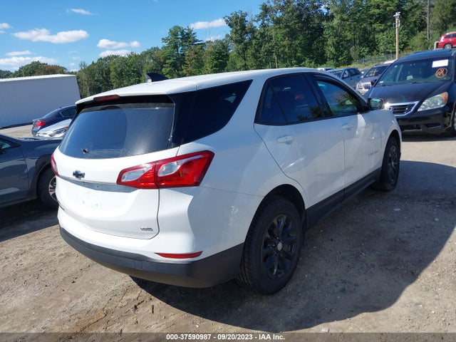Chevrolet EQUINOX LS 2019 3GNAXSEV2KS547306 Image 4