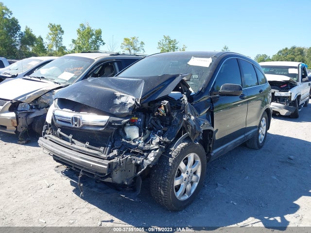 2007 HONDA CR-V EX-L VIN: JHLRE38757C058015