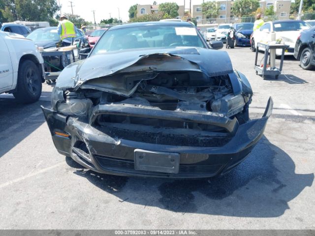 1ZVBP8AM3E5250313 Ford Mustang V6
