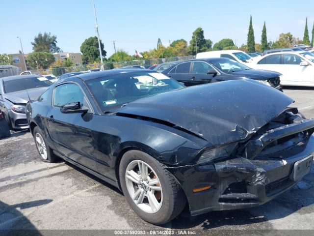 1ZVBP8AM3E5250313 Ford Mustang V6