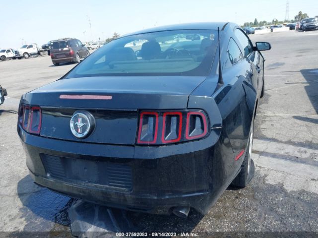 1ZVBP8AM3E5250313 Ford Mustang V6