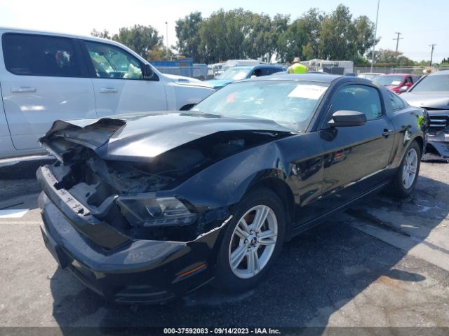 1ZVBP8AM3E5250313 Ford Mustang V6