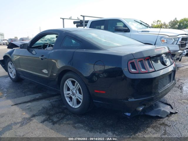1ZVBP8AM3E5250313 Ford Mustang V6