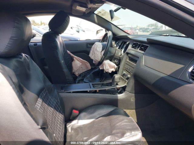 1ZVBP8AM3E5250313 Ford Mustang V6