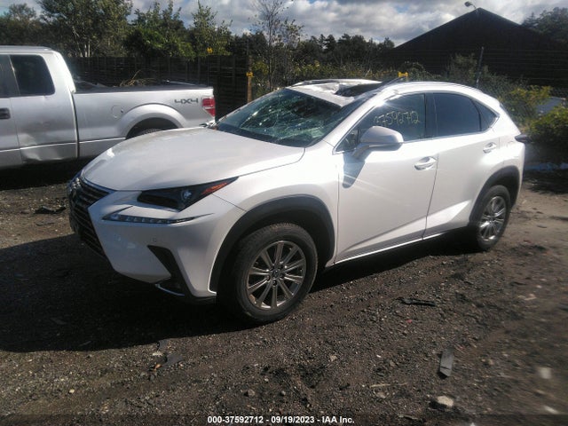 JTJDARDZ5L5004285 Lexus Nx Nx 300