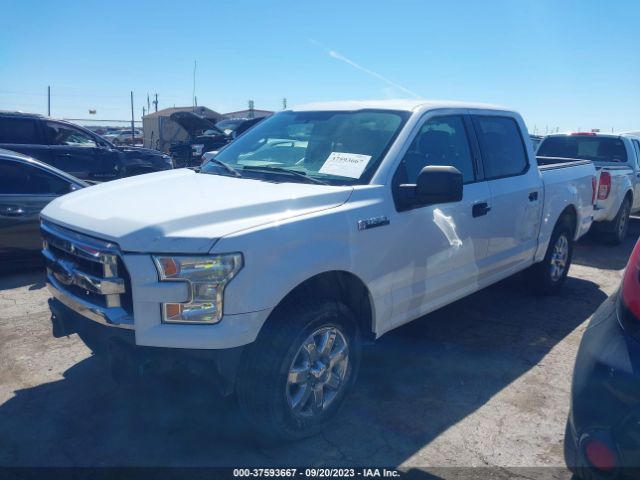 1FTEW1C86GKD58343 Ford F-150 Xlt/xl