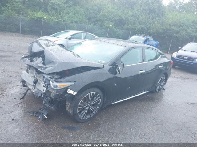 1N4AA6AP1JC405905 Nissan Maxima Platinum