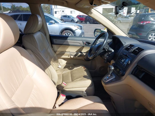 2009 HONDA CR-V EX-L VIN: 5J6RE48729L058196