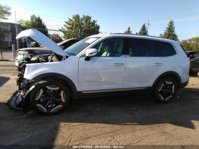2023 KIA TELLURIDE S VIN: 5XYP64GCXPG338143
