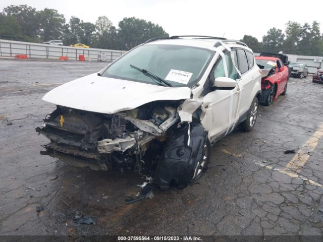 1FMCU0GX8EUA97349 Ford ESCAPE SE