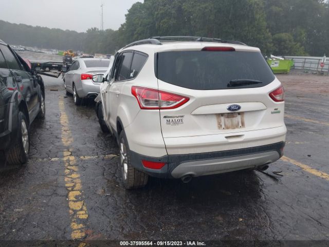 1FMCU0GX8EUA97349 Ford ESCAPE SE