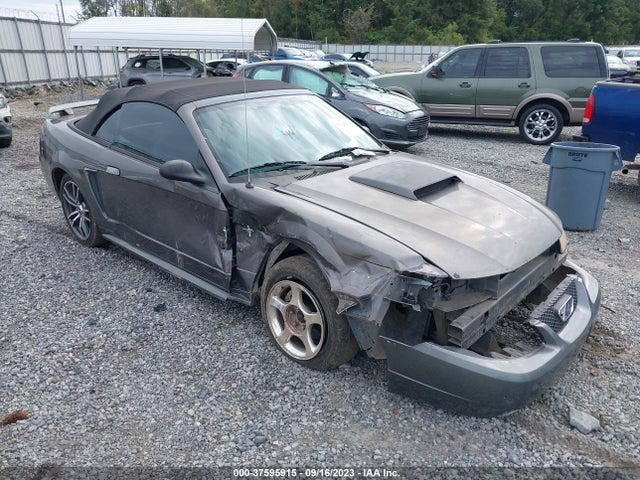 2003 FORD MUSTANG DELUXE/PREMIUM VIN: 1FAFP44463F413414