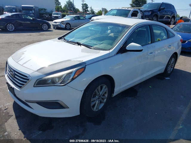 Hyundai Sonata 2.4l Se 2016 5NPE24AF1GH264979 Image 2