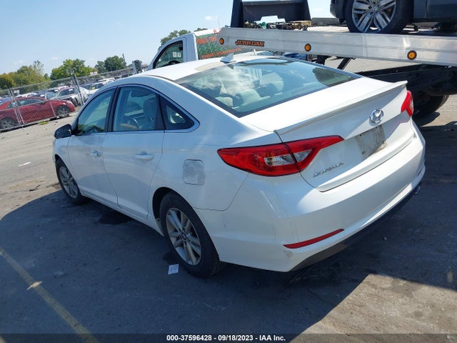 Hyundai Sonata 2.4l Se 2016 5NPE24AF1GH264979 Image 3