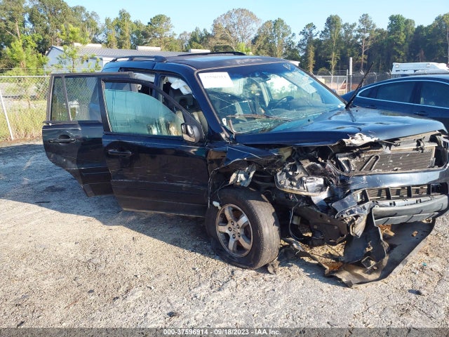 2006 HONDA PILOT EX-L VIN: 5FNYF28546B040654