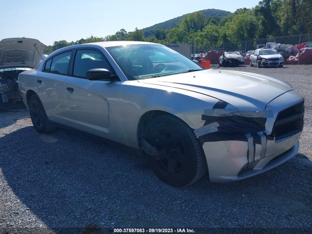 Dodge Charger Police 2014 2C3CDXAT5EH190873 Image 1