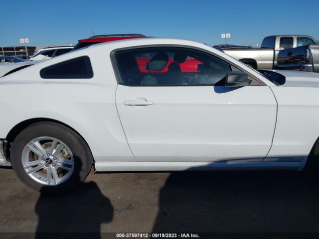 1ZVBP8AM0E5242704 Ford Mustang V6